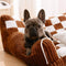 Soporte ortopédico de tablero de ajedrez vintage cama de sofá de perros extra grande - sofá King's