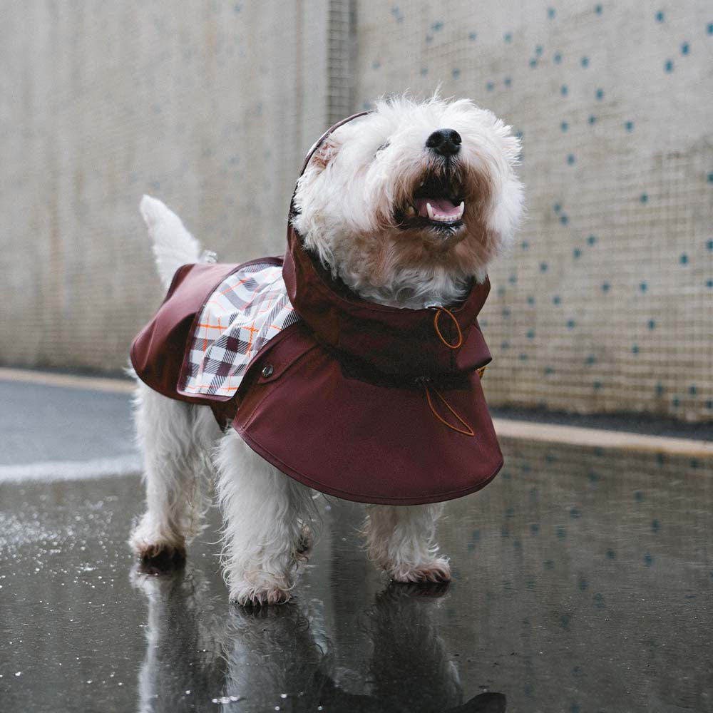 Waterproof Vintage Plaid Adjustable Dog Raincoat AllWeather