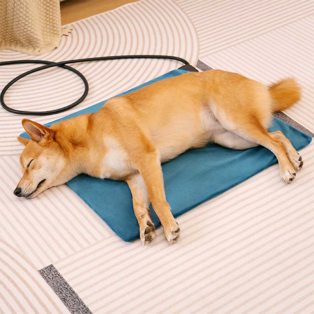 Waterproof＆Chewproof Electrical Pet Heated Pad - Safe Warmth