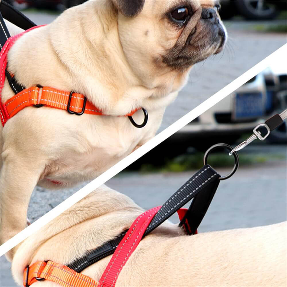 No-Choke Reflective Dog Harness with Adjustable Leash