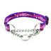 Collar de perro de la cadena deslizante de nylon multicolor