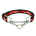 Collar de perro de la cadena deslizante de nylon multicolor