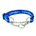 Collar de perro de la cadena deslizante de nylon multicolor
