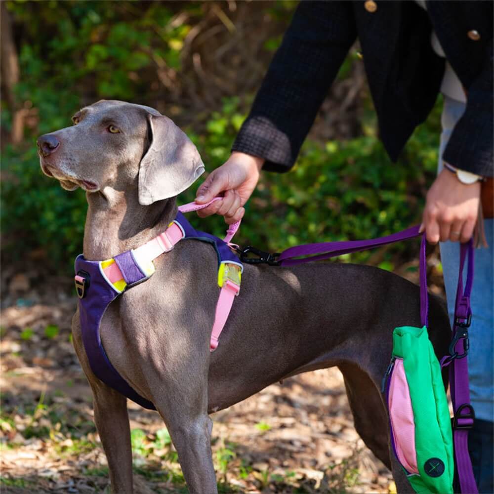 Arnés de pecho de color en contraste para mascotas y cuerda de tracción para perros - Estilo chaleco a prueba de explosiones