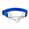 Collar de perro de la cadena deslizante de nylon multicolor