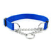 Collar de perro de la cadena deslizante de nylon multicolor