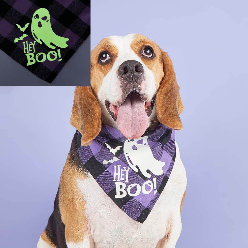 Luminous Pumpkin Skull Triangle Bandana for Pets | Festive & Glowing Dog Bib