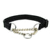 Collar de perro de la cadena deslizante de nylon multicolor