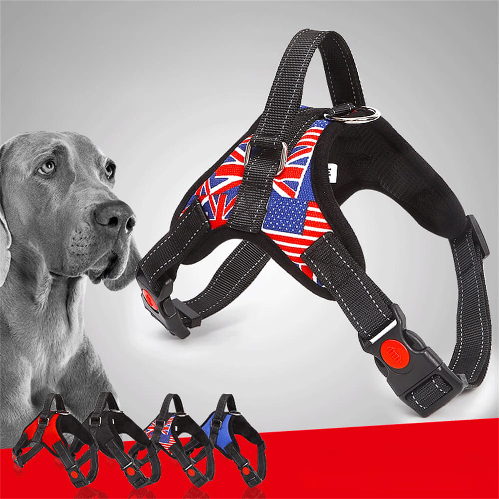 Arnés para perros Union Jack con cuerda de tracción: equipo para caminar elegante y funcional