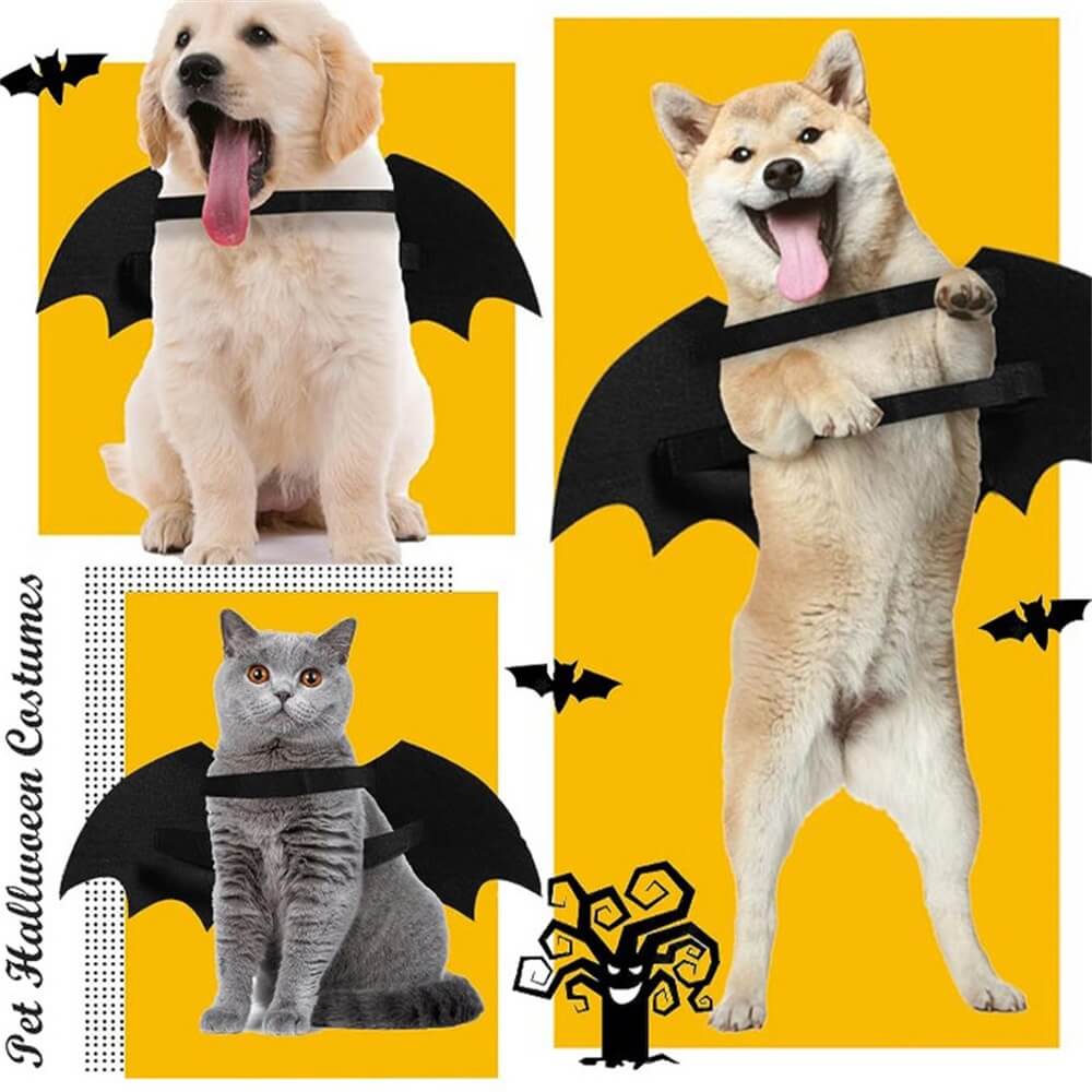 Disfraz de perro de Halloween con alas de murciélago y calavera luminosa | Accesorios para juegos de rol para mascotas