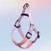 <tc>Color</tc>Arnés de pecho y cuerda de tracción para perros con gradiente de colores vibrantes - Diseño antidesgarro