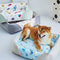 Cartoon Bold de cuello suave Cama para perros