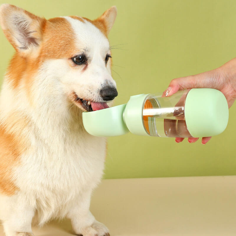 Botella de agua portátil para perros al aire libre 2 en 1