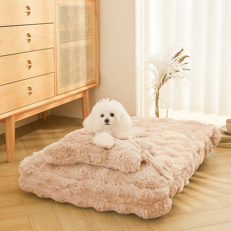 Acogedora y esponjosa cama relajante para perros con almohada