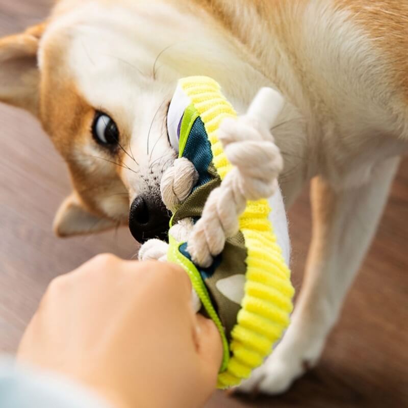Juguete de dentición para perros con zapatilla de cuerda de algodón