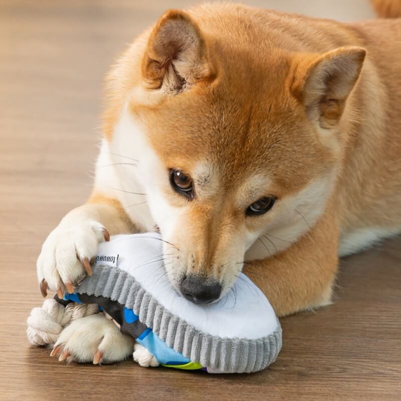 Juguete de dentición para perros con zapatilla de cuerda de algodón