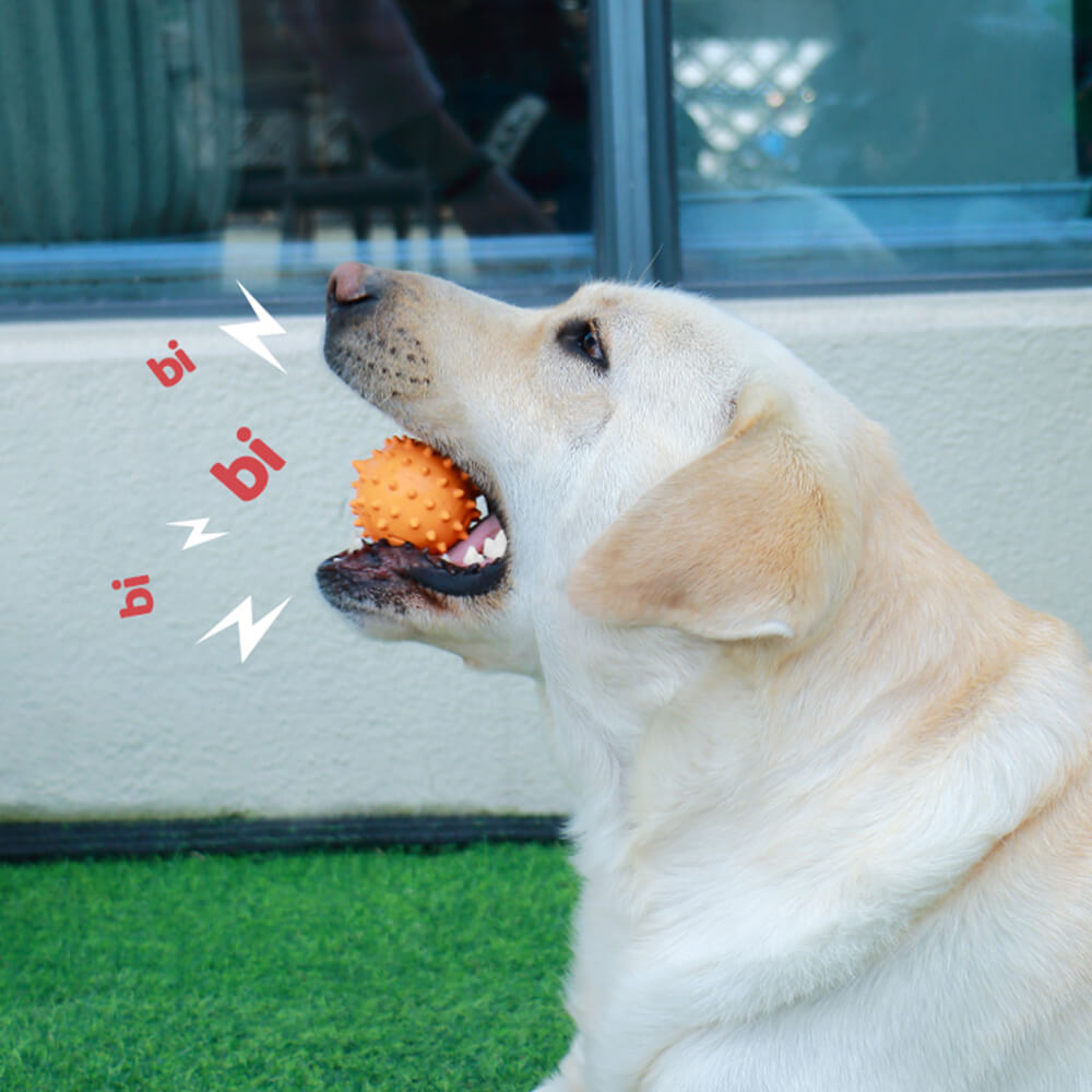 Juguete chirriante interactivo para perros Juguete masticable para la dentición