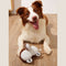 Juguete para perros chillido de lujoso - Butt