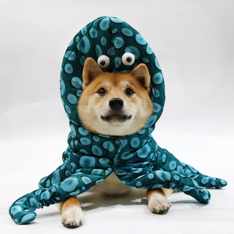 Disfraz de transformación de mascota de Halloween Disfraz de perro pulpo parodia