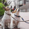 Collar de cuero de cuero falso tejido a mano y correa para caminar para perros