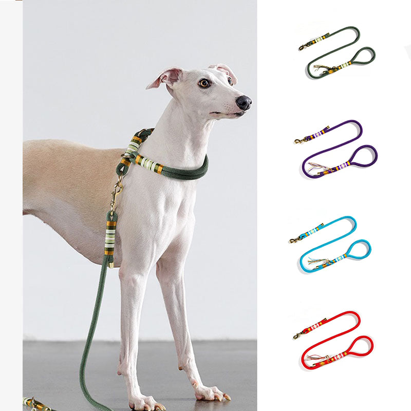 Correa de entrenamiento de accesorios Cool Dog de cuerda trenzada tejida a mano