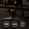 LED LARGO LARGO RETRAXIBLE CRUEBA DE ACCESORIOS DE ACCESORIOS DE PERROS