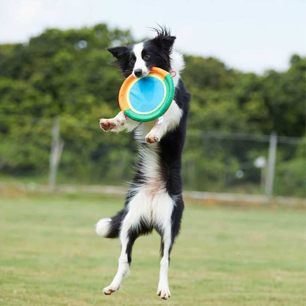 Juguete para perros interactivo al aire libre dura tela de oxford frisbee