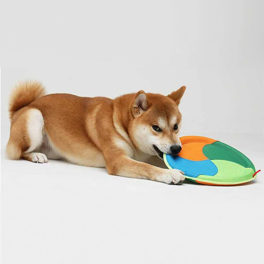 Juguete interactivo para perros al aire libre, disco volador duradero de tela Oxford para perros