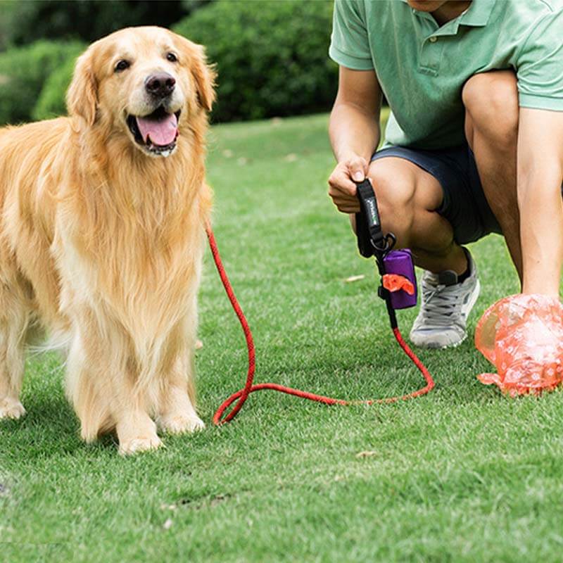 Dispensador portátil de bolsas para residuos de perros, bolsa para pasear perros de tela Oxford