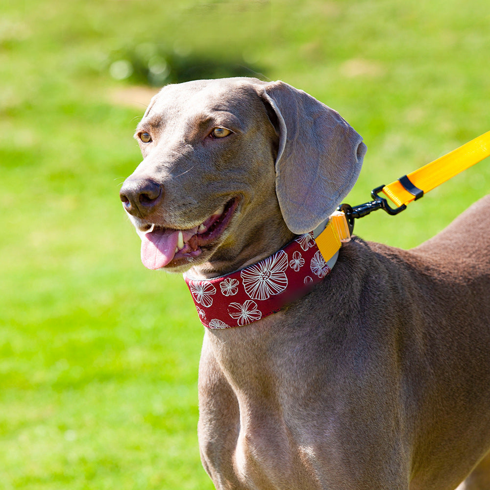 Collar de accesorios para perros, elegante, cómodo, sin tirones