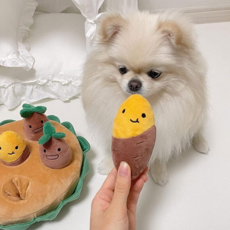 Juego de juguetes interactivos para perros con diseño de batata y olfateo