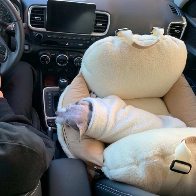 Cama grande del asiento de coche del perro del protector del cachorro de la seguridad del viaje