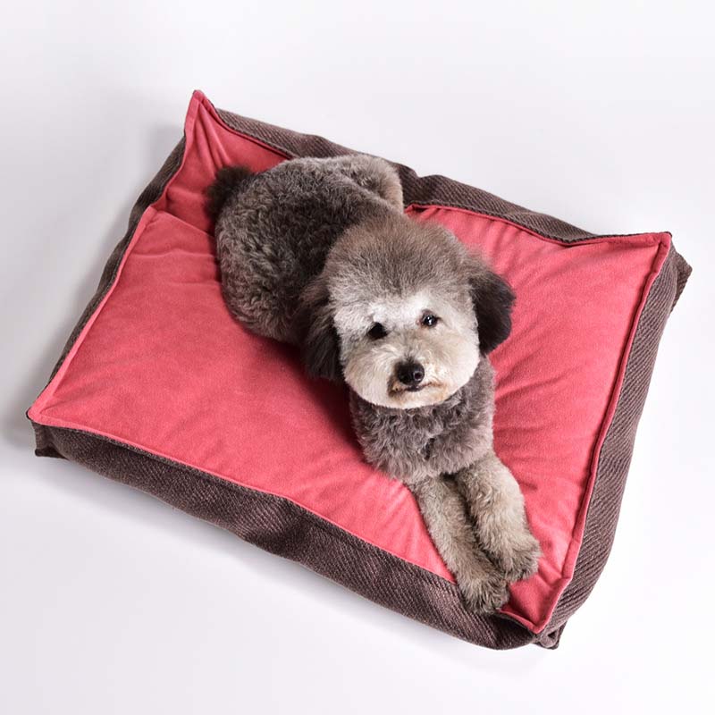 Colchoneta para dormir con cama para perros cuadrada de colores en contraste vintage
