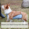 Cubierta de perrito de babero de mascotas a cuadros impermeables
