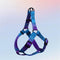 <tc>Color</tc>Arnés de pecho y cuerda de tracción para perros con gradiente de colores vibrantes - Diseño antidesgarro
