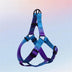 <tc>Color</tc>Arnés de pecho y cuerda de tracción para perros con gradiente de colores vibrantes - Diseño antidesgarro