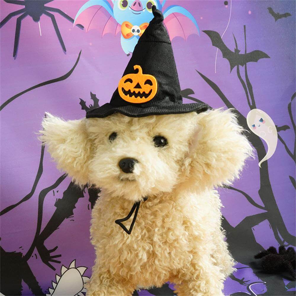 Creative Halloween Pet Hat | Magical & Fun Transformation Accessory