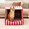 Cama de perros ortopédico de casa rayada de moda - acogedor escondite