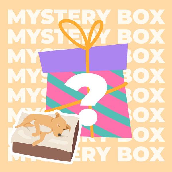Kit de viaje seguro para perros dentro de 15 kg - $ 220 Valor Mystery Box