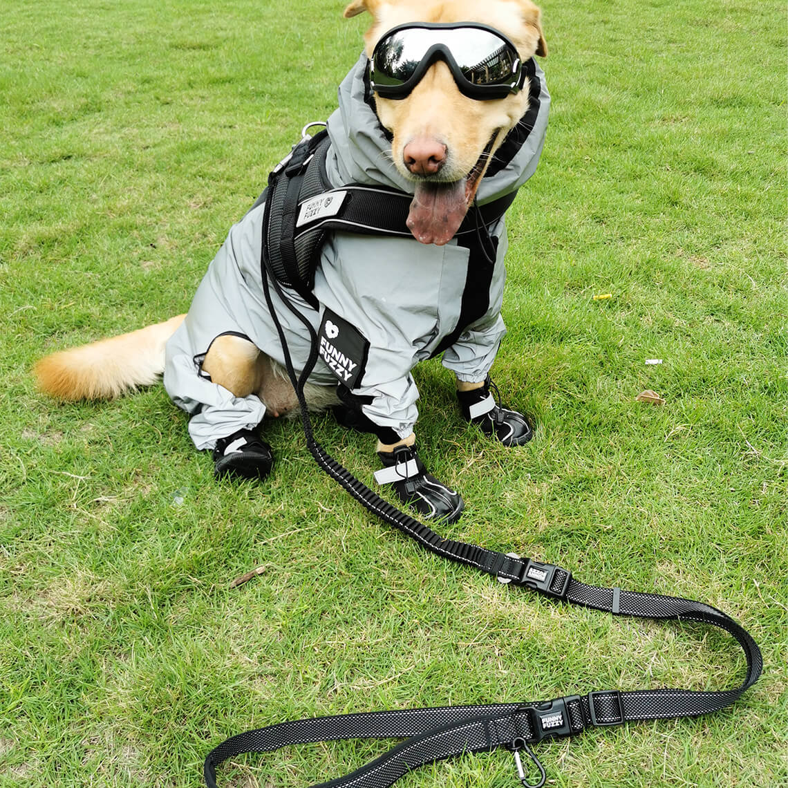 Juego de paseo con accesorios para perros Swag & Safe Cool