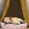 Elegante tipe de perro acogedor acogedor para perros para perros