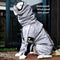 Accesorios reflectantes para perros fríos impermeables para perros
