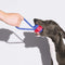 Juguete para perros con cuerda de nudos - <tc>Color</tc> Choque
