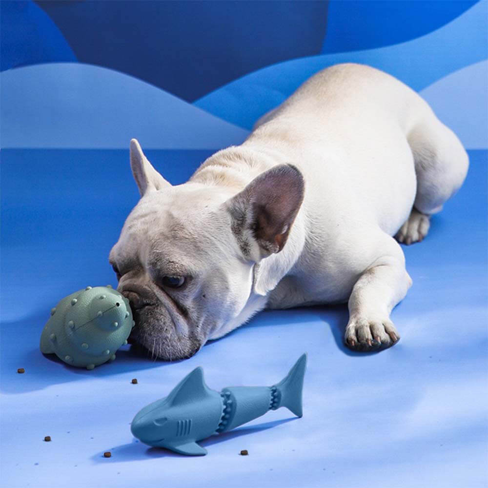 Juego de juguetes para perros con dispensador de golosinas - Océano