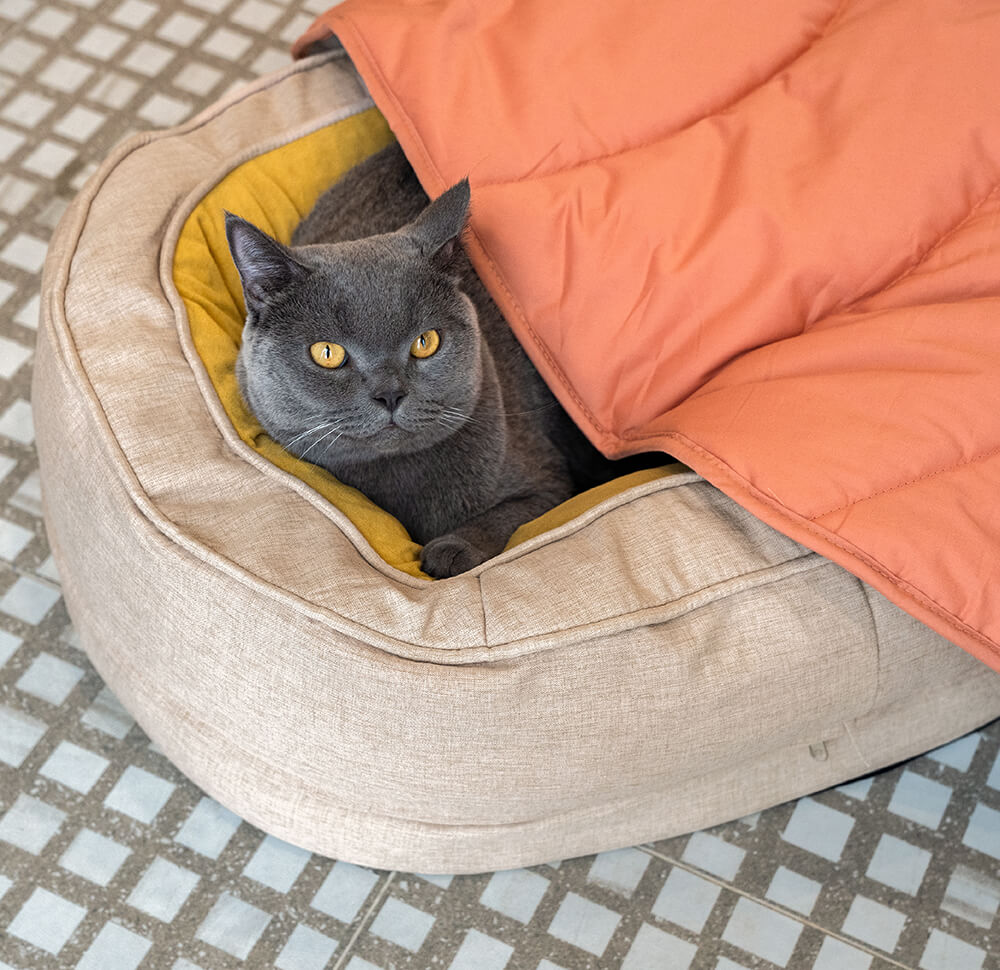 Manta para perros con forma de hoja y cama para perros con forma de donut, regalos de lujo para perros