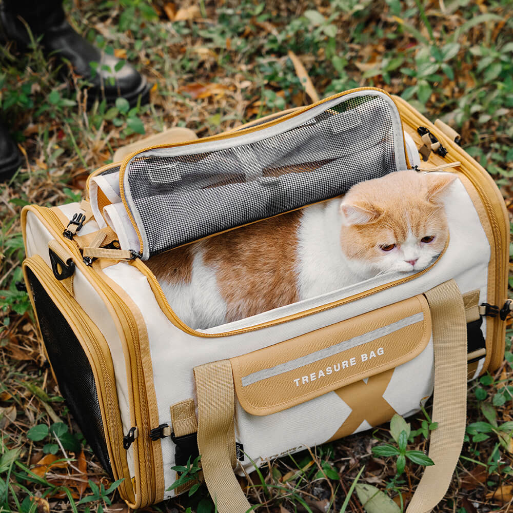 Bolsa de transporte para mascotas de diseño transpirable, plegable y portátil