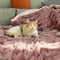 Super Soft Faux Fur & Velvet Luxury Pet Shrow Maneta humana