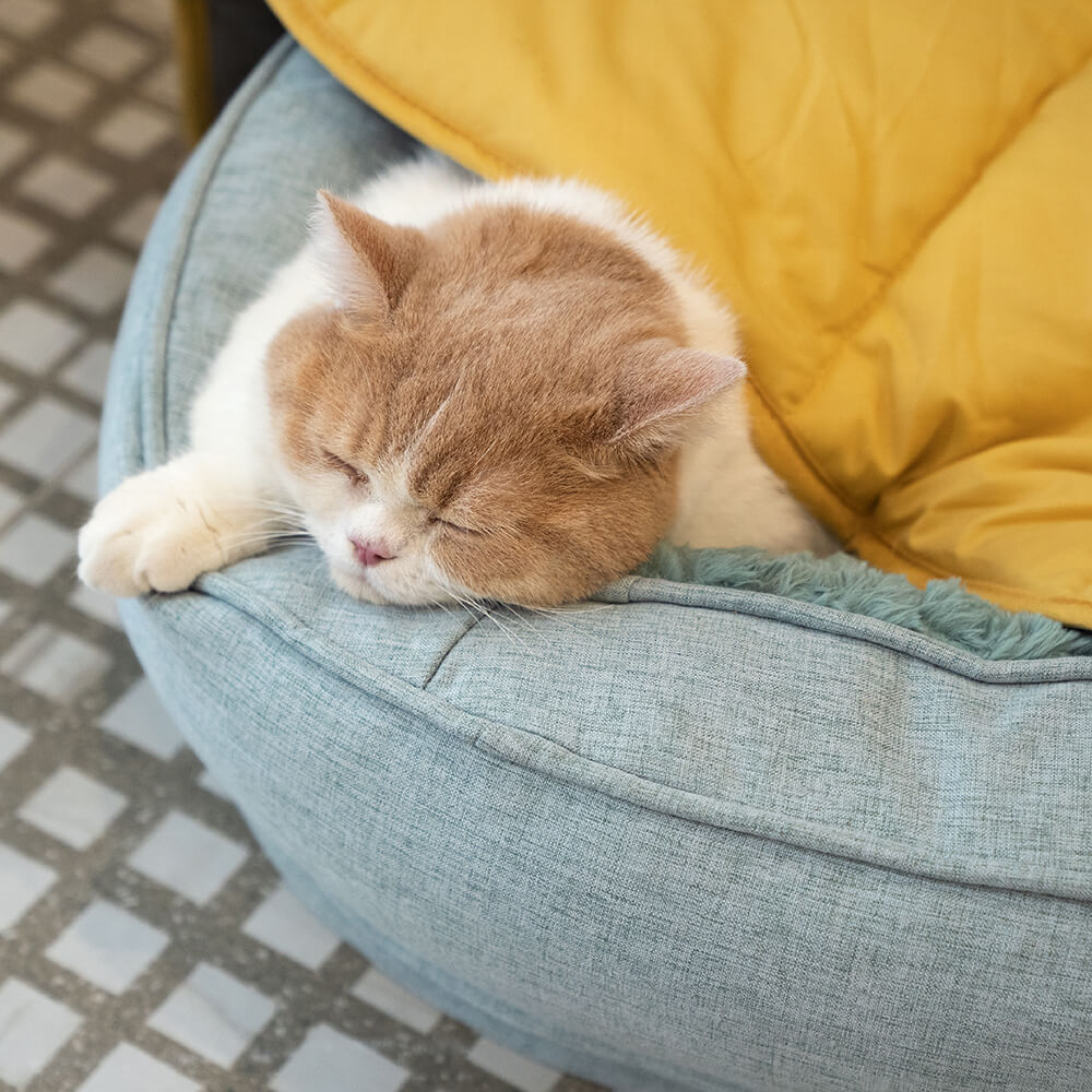 Cama ortopédica para perros Donut