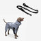 Accesorios reflectantes para perros fríos impermeables para perros