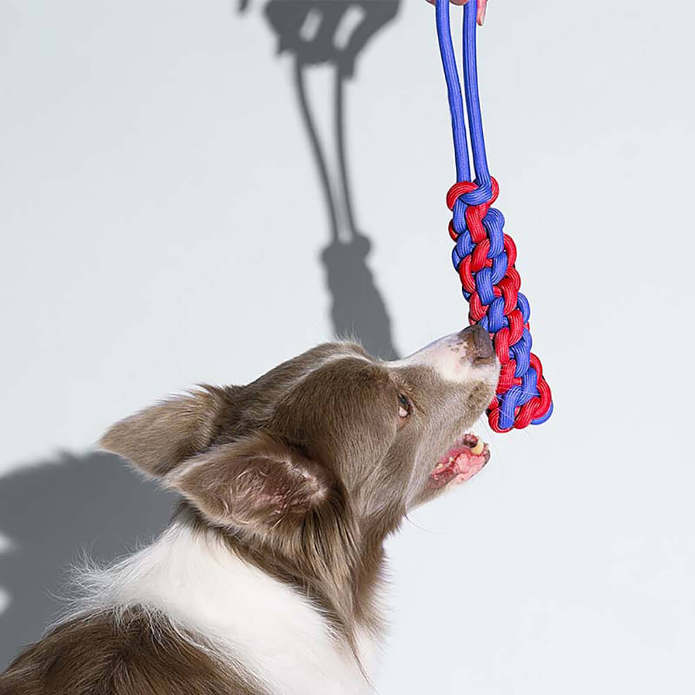 Juego de cesta de regalo de juguete para perros | Squeaky Chew Plush Treats lanza juguetes interactivos